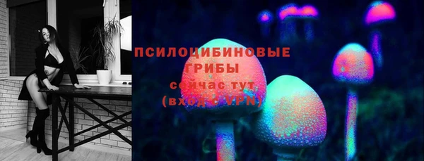 МДПВ Новодвинск