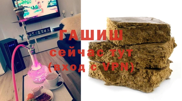 мдпв Новозыбков