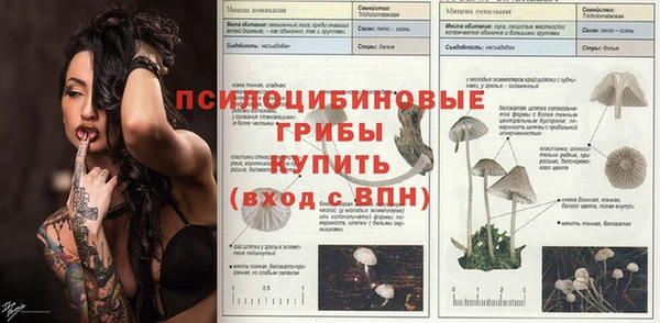 МДПВ Новодвинск