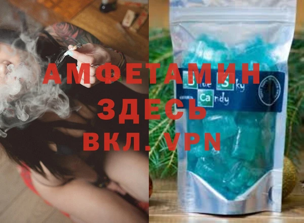 мдпв Новозыбков